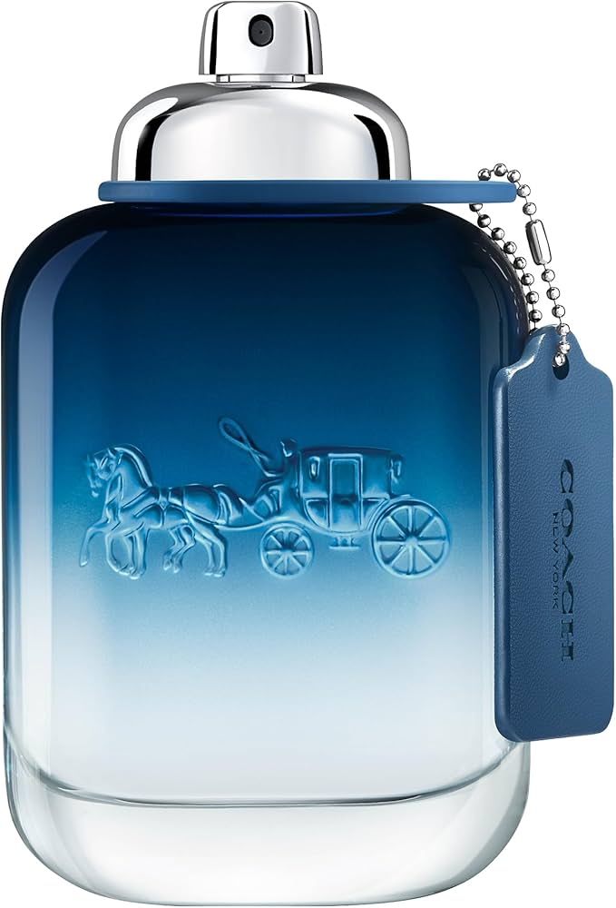 Coach New York Blue Eau De Toilette Spray 100ml/3.3oz – Triple Traders
