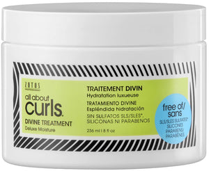 All About Curls Divine Treatment Deluxe Moisture By Zotos Professional 8 fl oz 236 ml