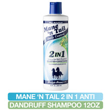Mane 'n Tail 2-IN-1 Anti-Dandruff Shampoo & Conditioner 12fl oz