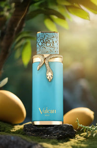 Vulcan Feu Eau De Parfum By French Avenue Fragrance World 100ml 3.4 FL OZ