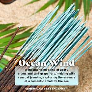 Ocean Wind 100x Incense Sticks By Wild Berry Made in USA 100 count stick bundle