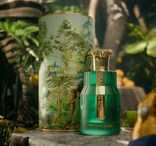 Lueur D'Espoir Serene Grove Eau De Parfum by Emir Paris Corner 100ml 3.4 FL OZ