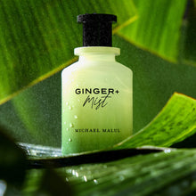 Ginger + Mist Eau De Parfum Spray by Michael Malul 100ml/3.4oz