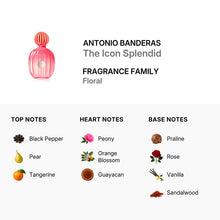 Antonio Banderas The Icon Splendid for Women Eau De Parfum Spray 100ml/3.4oz
