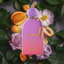 Capitol The Dome Collection EDP By Hamidi (Armaf) 100ML 3.4 FL OZ