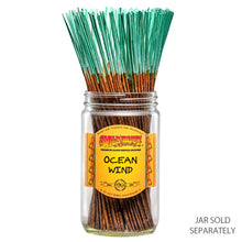 Ocean Wind 100x Incense Sticks By Wild Berry Made in USA 100 count stick bundle