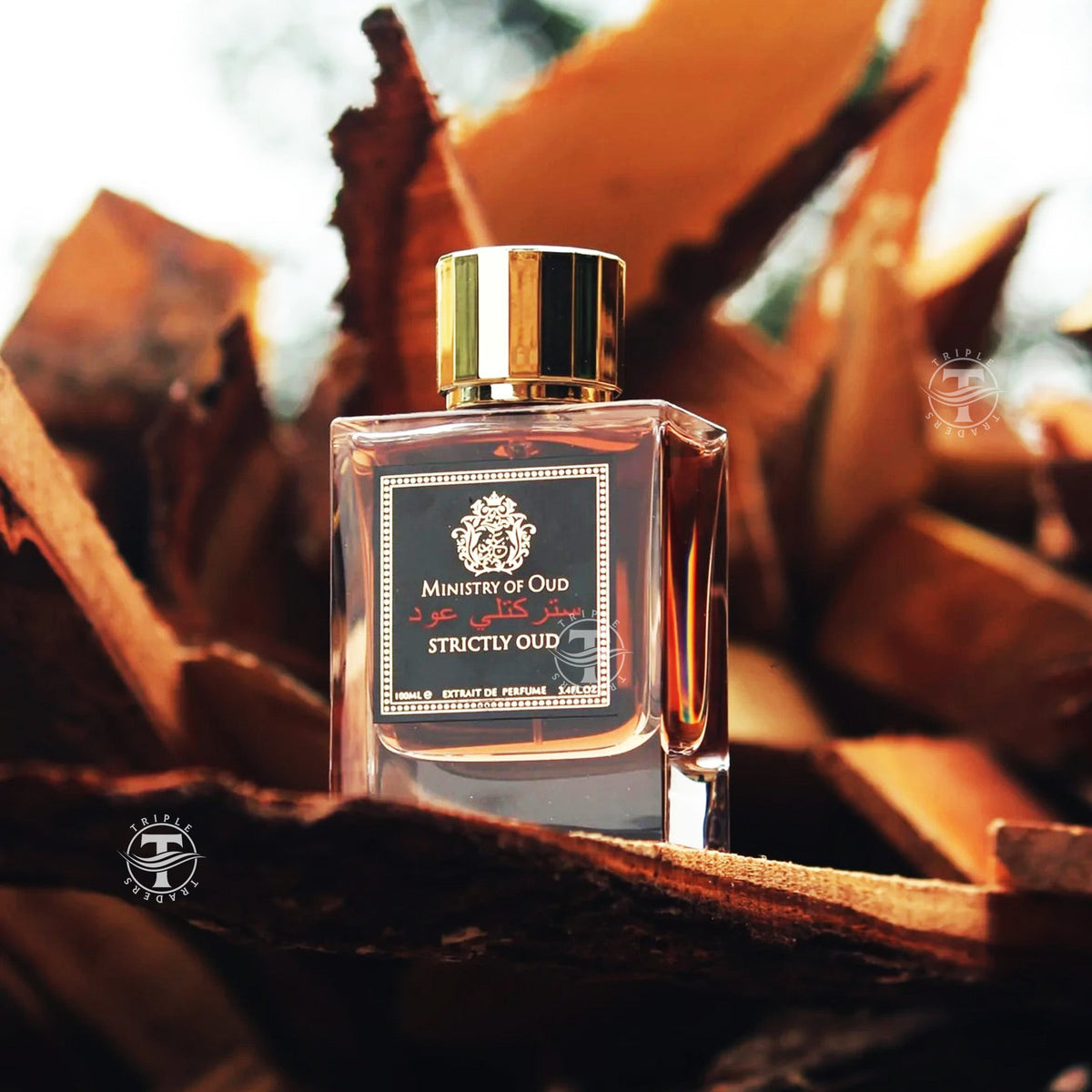 Ministry of Oud | Strictly Oud | Oriental Perfume By Paris Corner | 3 ...